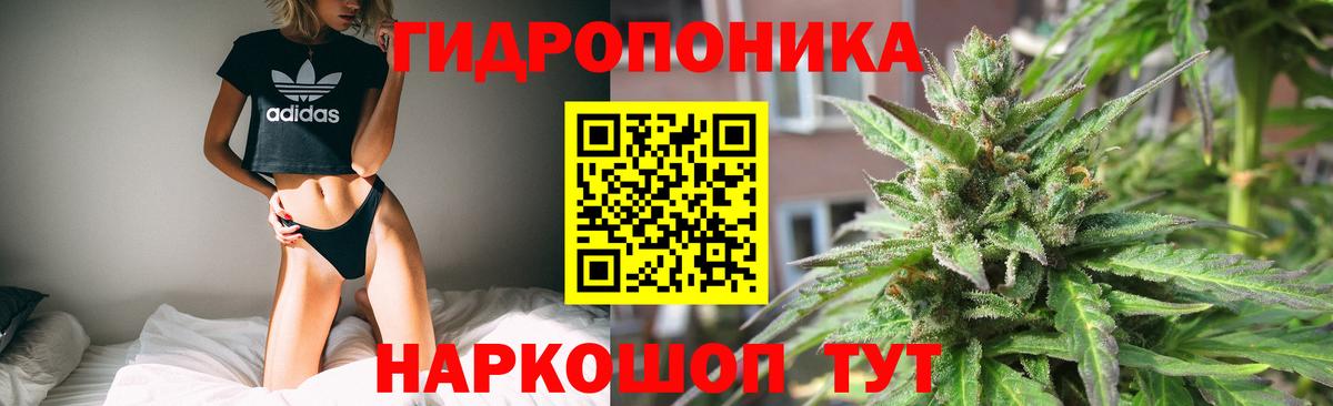 Бошки марихуана гибрид  Марихуана VHQ  Новодвинск  Конопля MAZAR  Вход с VPN 
